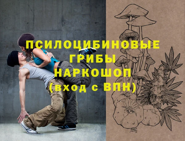 гидра Алексин