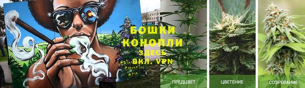 трава Алексеевка