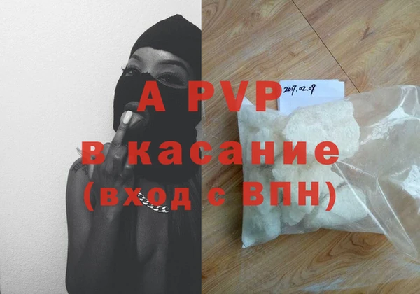 гидра Алексин